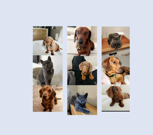 personalised tumbler